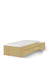 Voodi 90x200 madal Young Oak