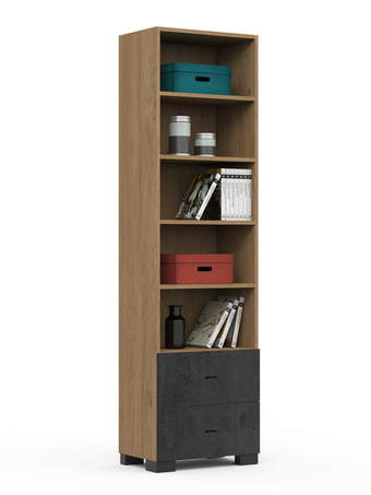Raamaturiiul 55 Go! Concrete Oak