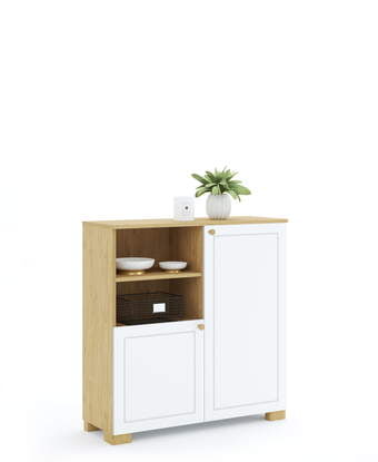 Raamaturiiul 100 madal Frame Oak White