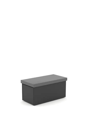 Hoiukast Dark Grey